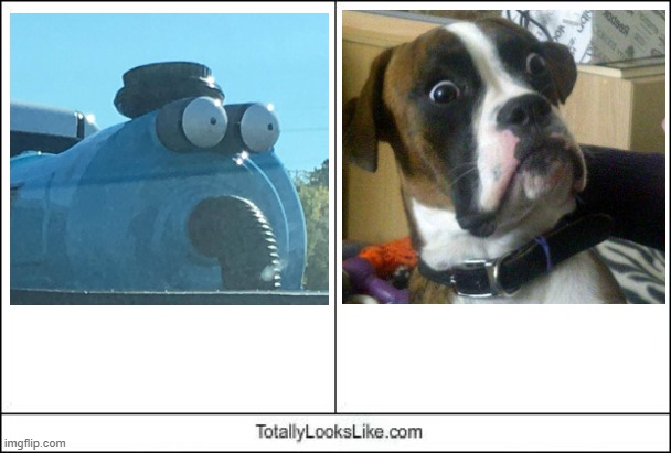 Totally Looks Like | image tagged in totally looks like | made w/ Imgflip meme maker
