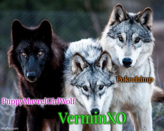  Wolfpack  | Pokechimp; PuppyMavrelGirlWolf; VerminXO | image tagged in wolfpack | made w/ Imgflip meme maker