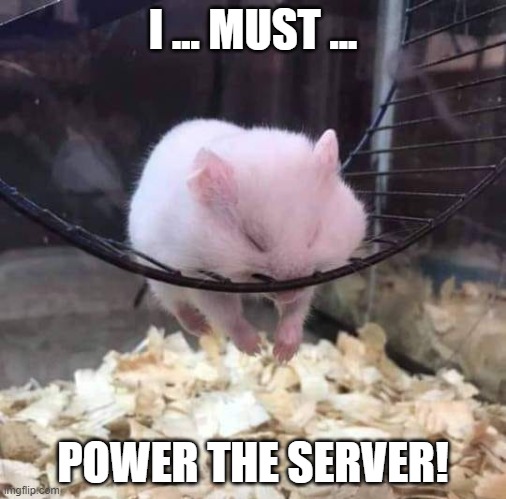 I must power the server | I ... MUST ... POWER THE SERVER! | image tagged in hamster sleaping at the wheel | made w/ Imgflip meme maker