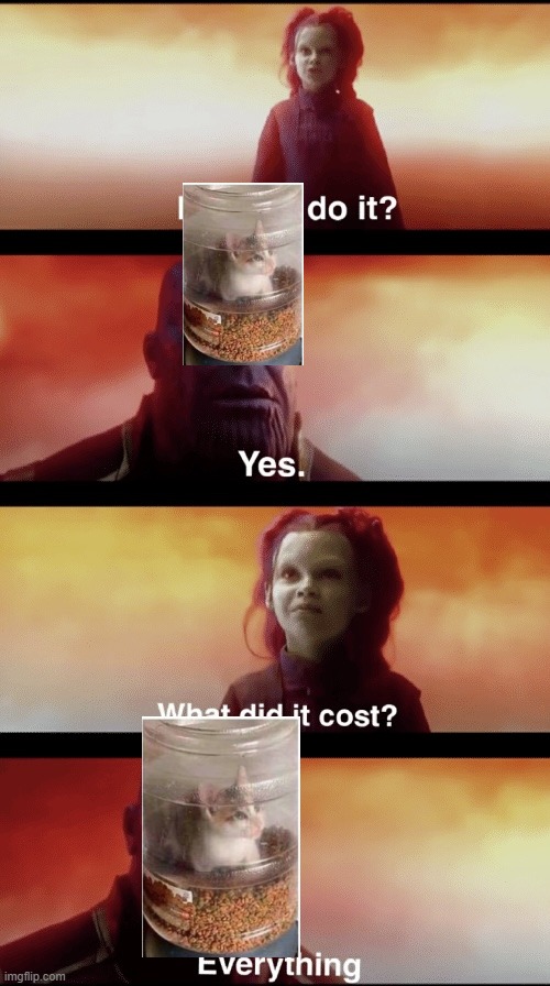 Thanos What did it cost text | image tagged in thanos what did it cost text | made w/ Imgflip meme maker