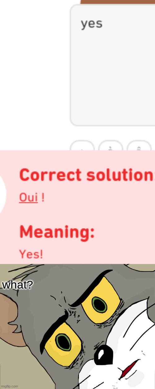 WTF I HATE GODDAM DUOLINGO | what? | image tagged in memes,unsettled tom | made w/ Imgflip meme maker