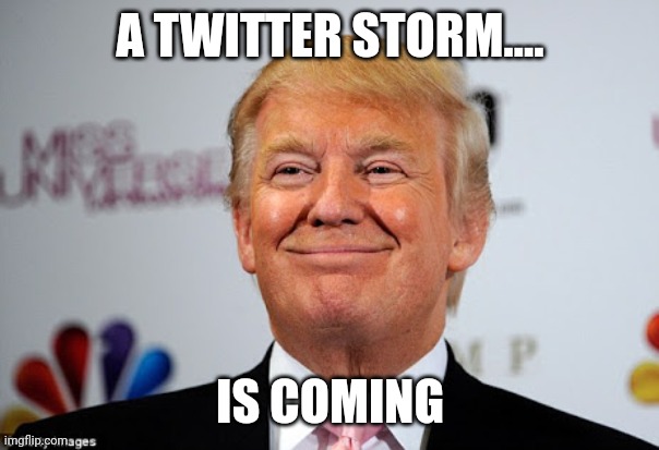 Welcome back Mr President |  A TWITTER STORM.... IS COMING | image tagged in donald trump approves | made w/ Imgflip meme maker