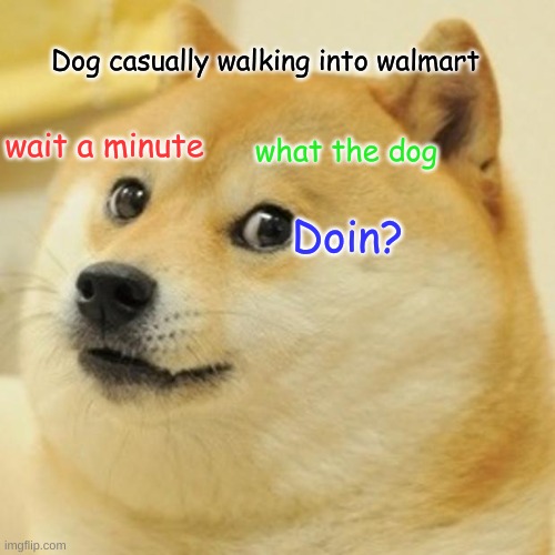 walmart Doge | Dog casually walking into walmart; wait a minute; what the dog; Doin? | image tagged in memes,doge | made w/ Imgflip meme maker