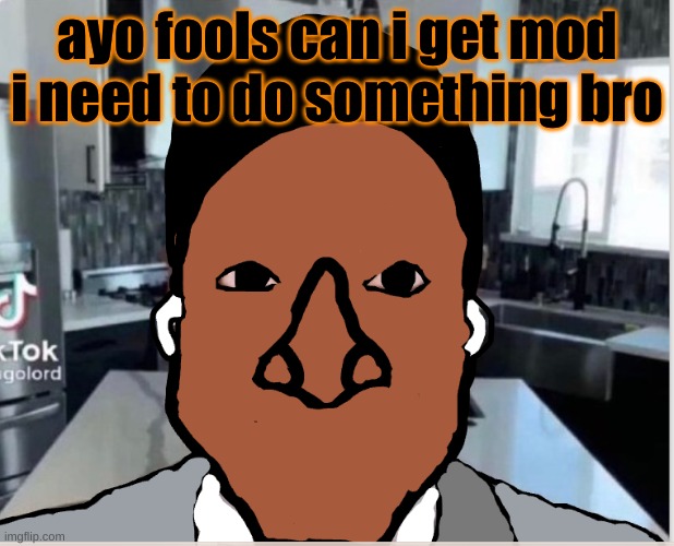 fools in a nice way | ayo fools can i get mod i need to do something bro | image tagged in n | made w/ Imgflip meme maker