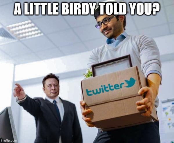 A LITTLE BIRDY TOLD YOU? | made w/ Imgflip meme maker