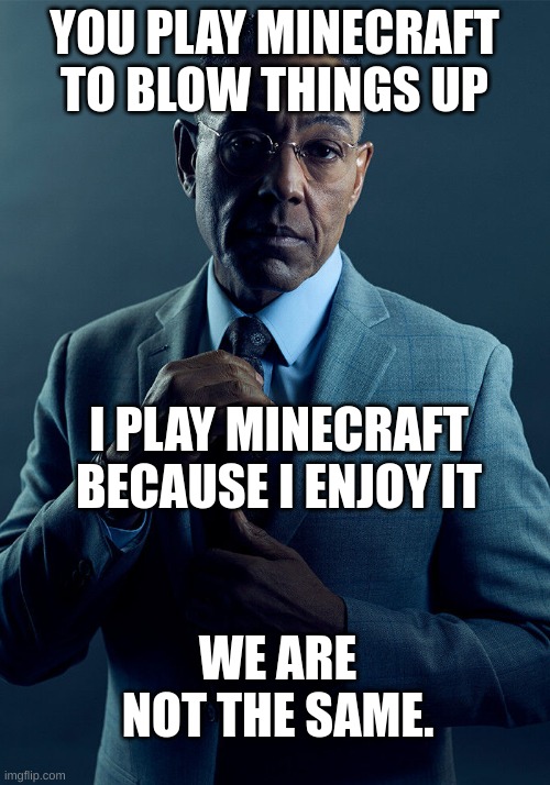 i play minecraft. | YOU PLAY MINECRAFT TO BLOW THINGS UP; I PLAY MINECRAFT BECAUSE I ENJOY IT; WE ARE NOT THE SAME. | image tagged in gus fring we are not the same | made w/ Imgflip meme maker