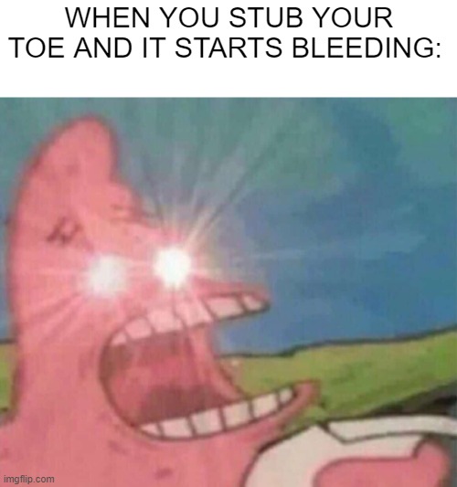 so true #5 | WHEN YOU STUB YOUR TOE AND IT STARTS BLEEDING: | image tagged in patrick screamin,stub toe,bleeding | made w/ Imgflip meme maker