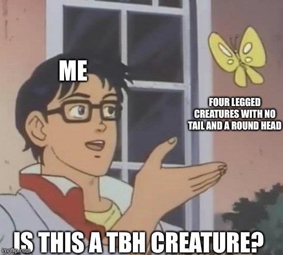 Me in a nutshell | ME; FOUR LEGGED CREATURES WITH NO TAIL AND A ROUND HEAD; IS THIS A TBH CREATURE? | image tagged in is this butterfly | made w/ Imgflip meme maker
