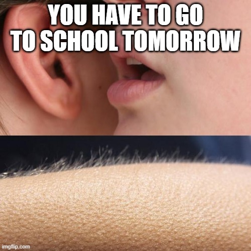school memes | YOU HAVE TO GO TO SCHOOL TOMORROW | image tagged in whisper and goosebumps | made w/ Imgflip meme maker
