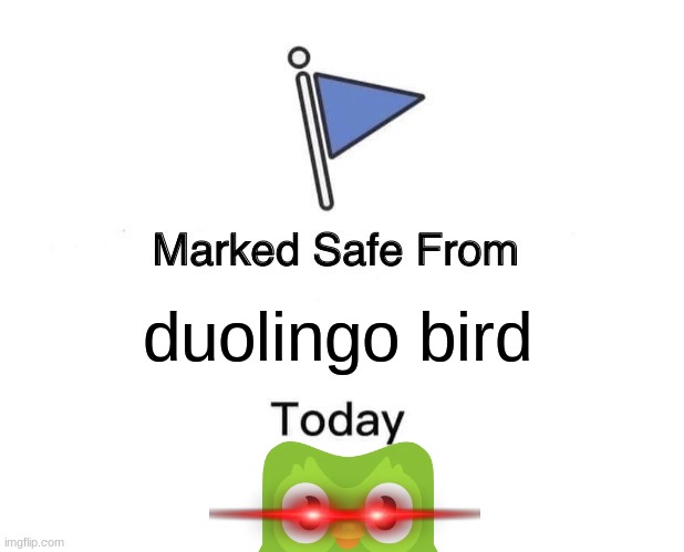 you did not do your spanish homework | duolingo bird | image tagged in memes,marked safe from | made w/ Imgflip meme maker