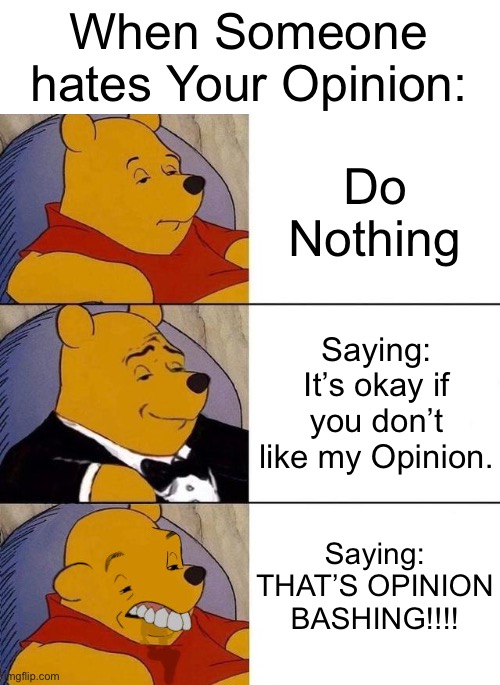When Someone Hates your Opinion | When Someone hates Your Opinion:; Do Nothing; Saying: It’s okay if you don’t like my Opinion. Saying: THAT’S OPINION BASHING!!!! | image tagged in best better blurst,memes,funny,opinion,opinions,hate | made w/ Imgflip meme maker