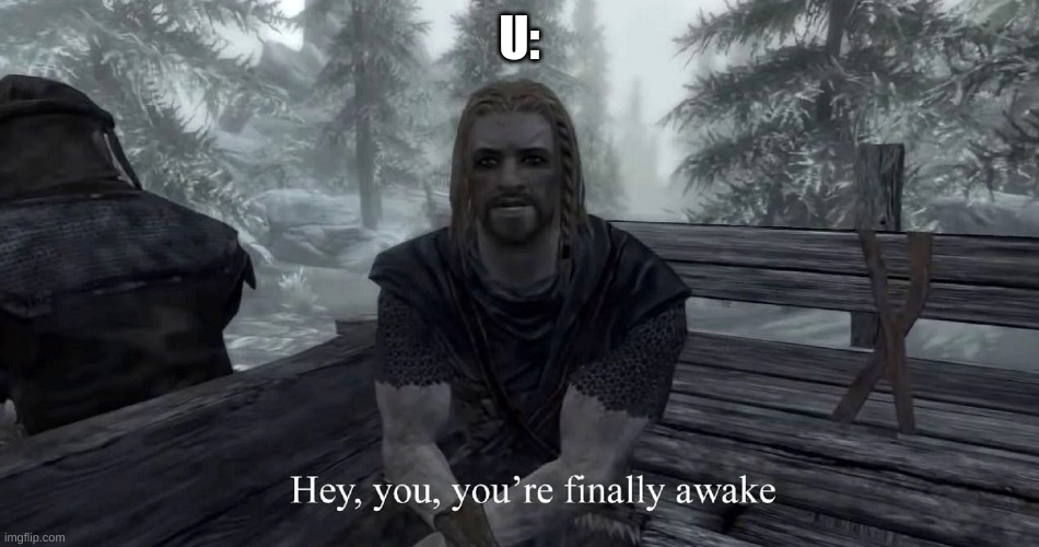 You're Finally Awake | U: | image tagged in you're finally awake | made w/ Imgflip meme maker