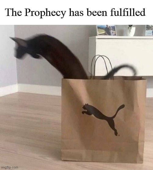 The Prophecy has been fulfilled | image tagged in puma,cats,cat memes,prophecy,legend | made w/ Imgflip meme maker