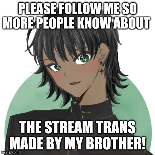 PLEASE FOLLOW ME SO MORE PEOPLE KNOW ABOUT; THE STREAM TRANS MADE BY MY BROTHER! | made w/ Imgflip meme maker