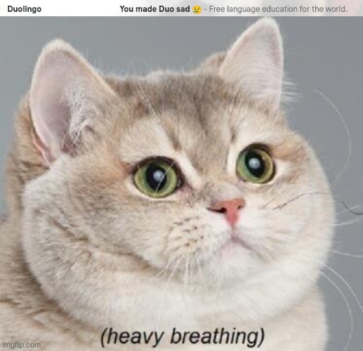 oh gosh | image tagged in memes,heavy breathing cat | made w/ Imgflip meme maker
