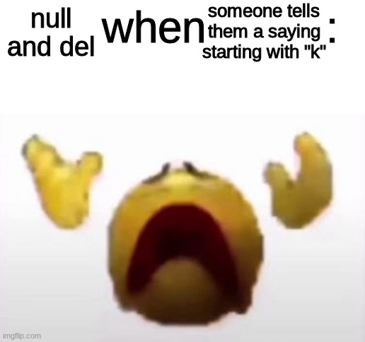 Part 1. | someone tells them a saying starting with "k"; null and del | image tagged in user when user | made w/ Imgflip meme maker