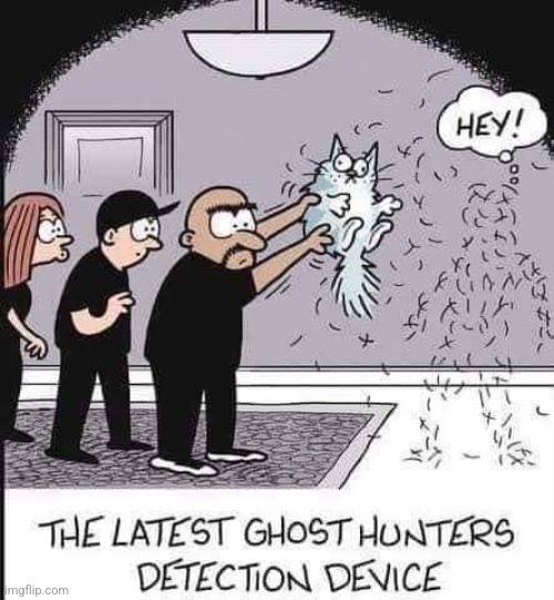 GOOD WORK KITTY | image tagged in cats,ghost,ghosts,spooktober,comics/cartoons | made w/ Imgflip meme maker