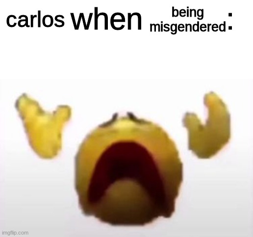 User When Offended: | being
misgendered; carlos | image tagged in user when user | made w/ Imgflip meme maker