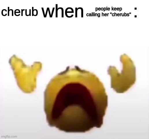 User When Offended: | people keep calling her "cherubs"; cherub | image tagged in user when offended | made w/ Imgflip meme maker