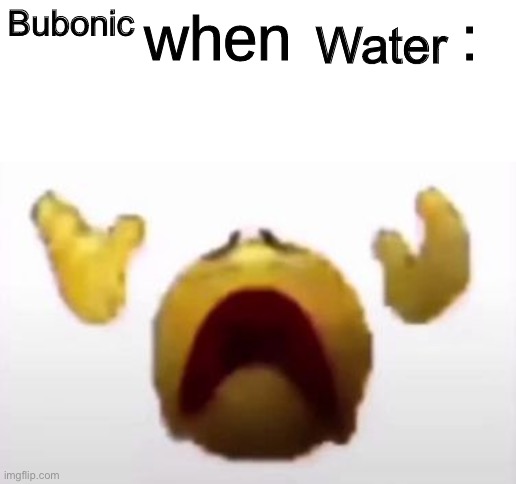 User When Offended: | Bubonic; Water | image tagged in user when offended | made w/ Imgflip meme maker