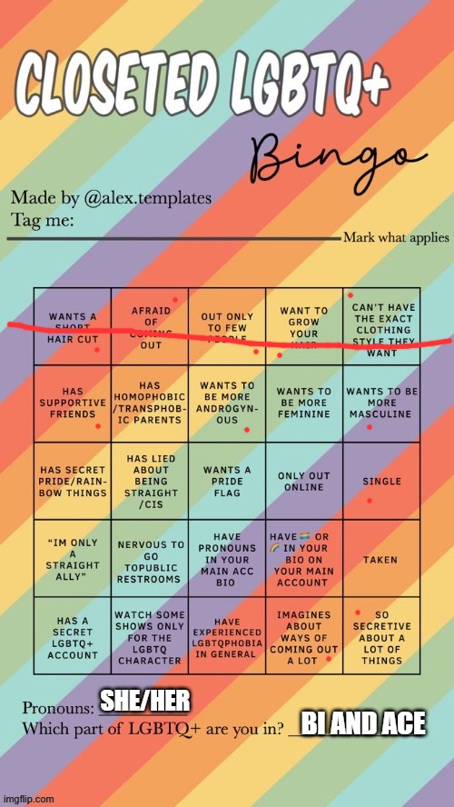 idrk | SHE/HER; BI AND ACE | image tagged in closeted lgbtq bingo | made w/ Imgflip meme maker