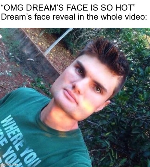 “OMG DREAM’S FACE IS SO HOT”

Dream’s face reveal in the whole video: | image tagged in memes | made w/ Imgflip meme maker
