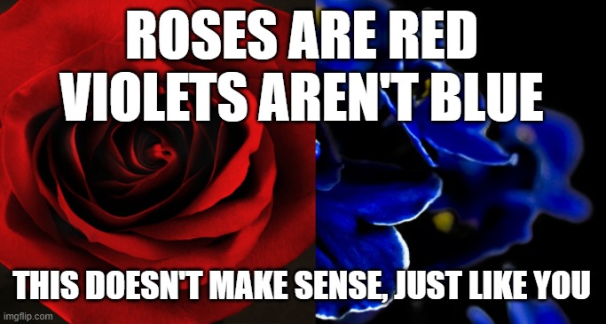 Roses are Red, Violets are Blue. | ROSES ARE RED VIOLETS AREN'T BLUE; THIS DOESN'T MAKE SENSE, JUST LIKE YOU | image tagged in roses are red violets are blue | made w/ Imgflip meme maker