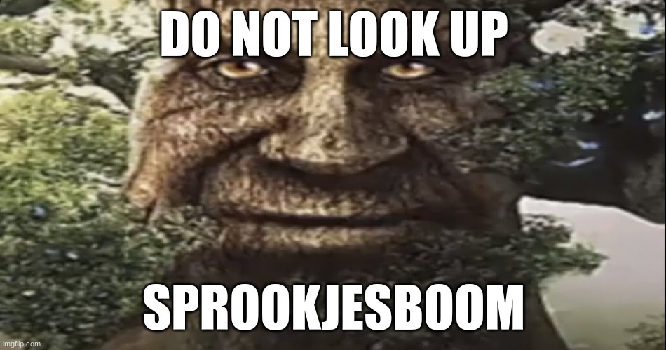 The Wise Mystical Tree | DO NOT LOOK UP; SPROOKJESBOOM | image tagged in wise mystical tree | made w/ Imgflip meme maker