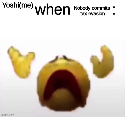User When Offended: | Yoshi(me); Nobody commits 
tax evasion | image tagged in user when offended | made w/ Imgflip meme maker