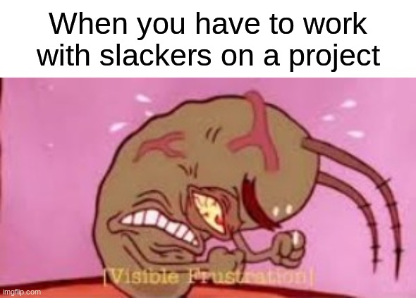 This just happened to me last week | When you have to work with slackers on a project | image tagged in visible frustration | made w/ Imgflip meme maker