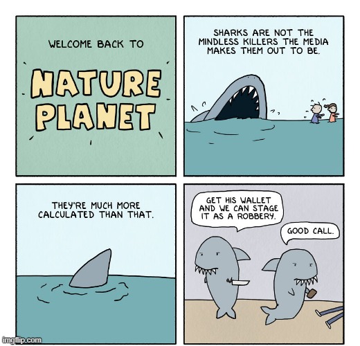 Sharks are Dangerous | image tagged in comics | made w/ Imgflip meme maker