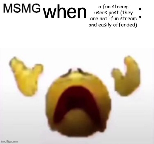 fnu stream user | a fun stream users post (they are anti-fun stream and easily offended) | made w/ Imgflip meme maker