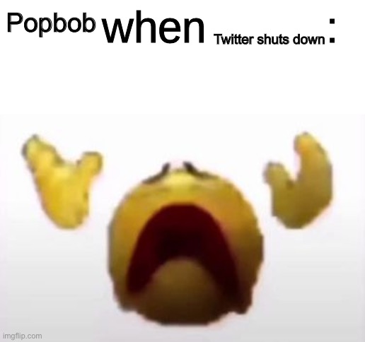User When Offended: | Twitter shuts down; Popbob | image tagged in user when offended | made w/ Imgflip meme maker