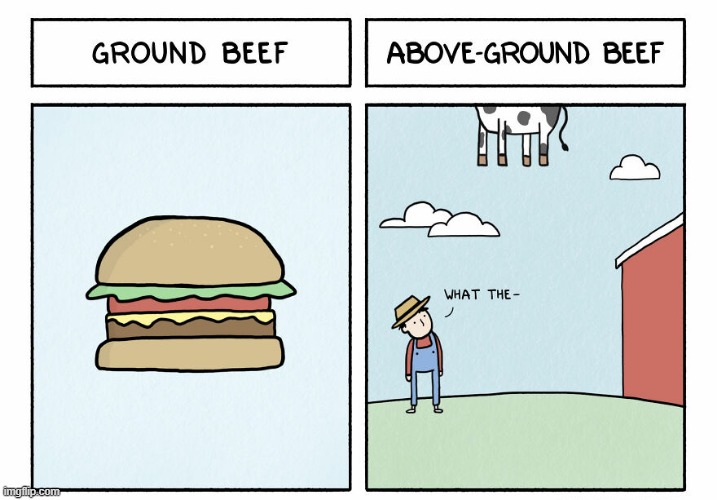 Grounded | image tagged in comics | made w/ Imgflip meme maker