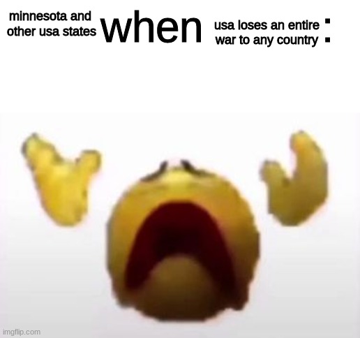 User When Offended: | usa loses an entire war to any country; minnesota and 
other usa states | image tagged in user when offended | made w/ Imgflip meme maker