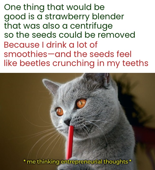 Berry Good Idea | One thing that would be good is a strawberry blender that was also a centrifuge so the seeds could be removed; Because I drink a lot of smoothies—and the seeds feel like beetles crunching in my teeths; * me thinking entrepreneurial thoughts * | image tagged in funny memes,good ideas,smoothies | made w/ Imgflip meme maker