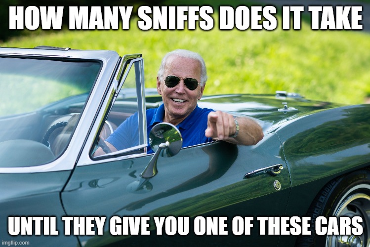 sniffy car | HOW MANY SNIFFS DOES IT TAKE; UNTIL THEY GIVE YOU ONE OF THESE CARS | image tagged in funny,political | made w/ Imgflip meme maker