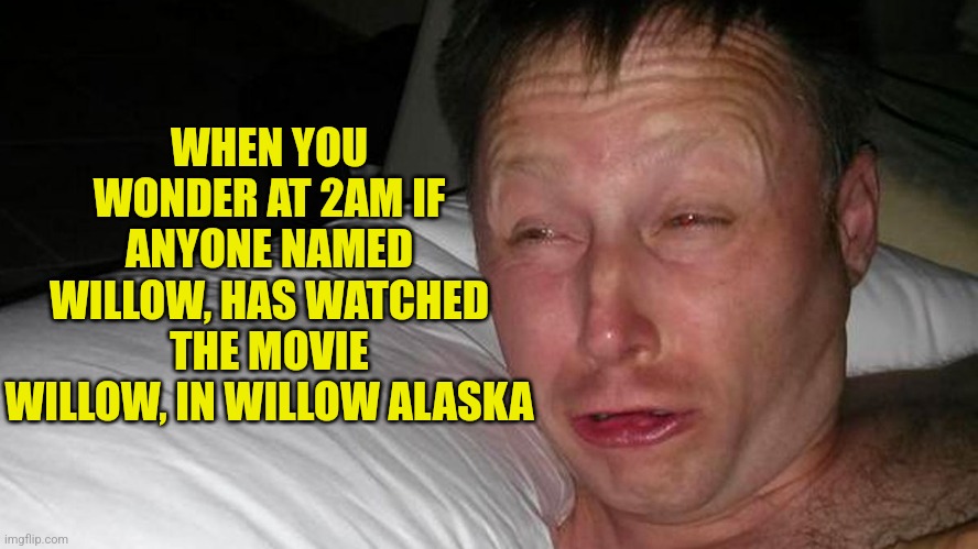 Who can sleep when so many mysteries exist? | WHEN YOU WONDER AT 2AM IF ANYONE NAMED WILLOW, HAS WATCHED THE MOVIE WILLOW, IN WILLOW ALASKA | image tagged in woken up,willow,sleep,thinking meme,i have several questions,alaska | made w/ Imgflip meme maker