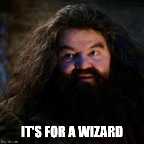 You're a wizard harry | IT'S FOR A WIZARD | image tagged in you're a wizard harry | made w/ Imgflip meme maker