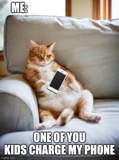 Lazy cat | ME: ONE OF YOU KIDS CHARGE MY PHONE | image tagged in lazy cat | made w/ Imgflip meme maker