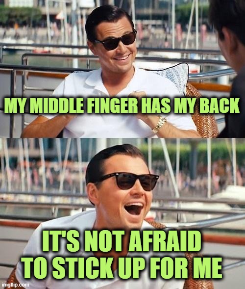 Leonardo Dicaprio Wolf Of Wall Street | MY MIDDLE FINGER HAS MY BACK; IT'S NOT AFRAID TO STICK UP FOR ME | image tagged in memes,leonardo dicaprio wolf of wall street | made w/ Imgflip meme maker