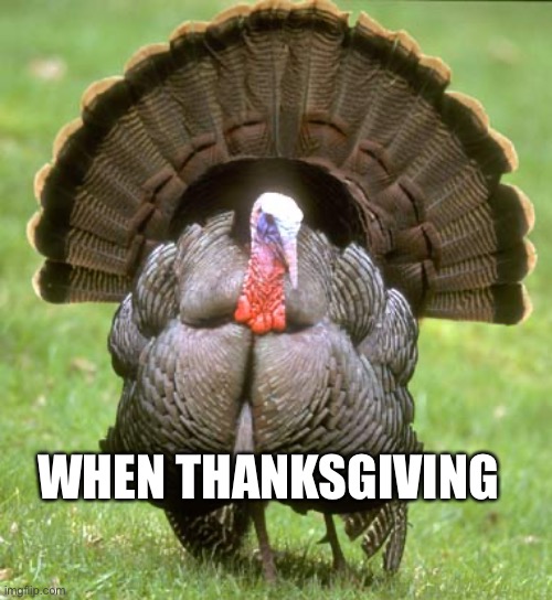 Turkey Meme | WHEN THANKSGIVING | image tagged in memes,turkey | made w/ Imgflip meme maker