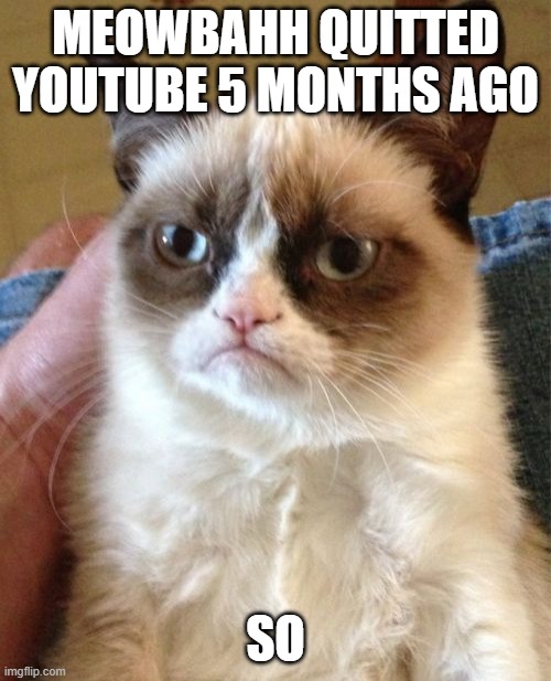 5 months | MEOWBAHH QUITTED YOUTUBE 5 MONTHS AGO; SO | image tagged in memes,grumpy cat | made w/ Imgflip meme maker
