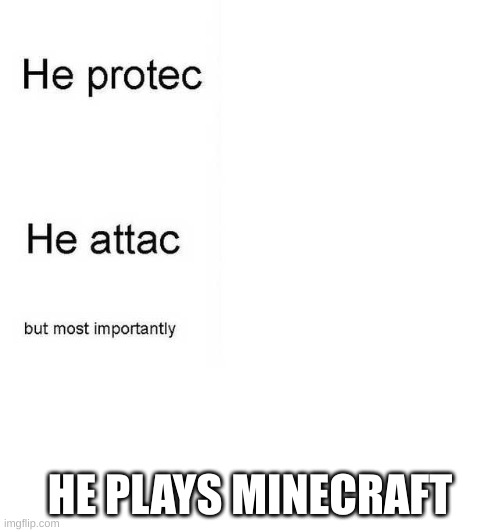 He protec he attac but most importantly | HE PLAYS MINECRAFT | image tagged in he protec he attac but most importantly | made w/ Imgflip meme maker