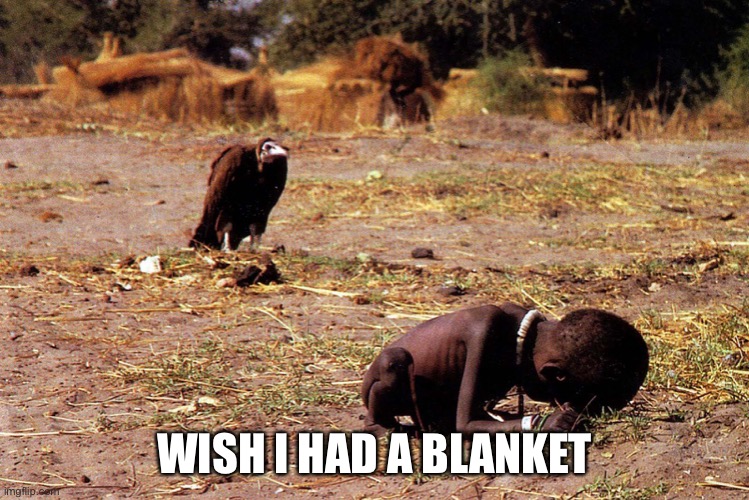 starving girl and vulture | WISH I HAD A BLANKET | image tagged in starving girl and vulture | made w/ Imgflip meme maker