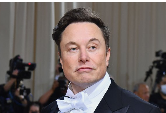 High Quality musk Blank Meme Template