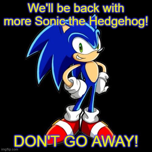 You're Too Slow Sonic | We'll be back with more Sonic the Hedgehog! DON'T GO AWAY! | image tagged in memes,you're too slow sonic | made w/ Imgflip meme maker