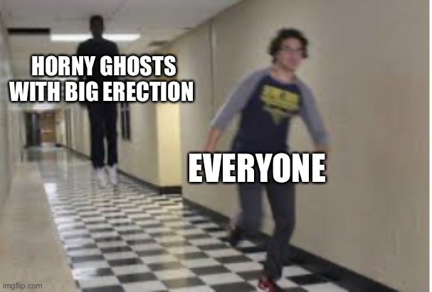 Make this movie | HORNY GHOSTS WITH BIG ERECTION; EVERYONE | image tagged in running down hallway | made w/ Imgflip meme maker