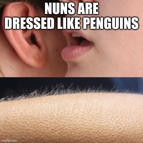 Penguins of Christ | NUNS ARE DRESSED LIKE PENGUINS | image tagged in whisper and goosebumps,funny,memes,penguins | made w/ Imgflip meme maker