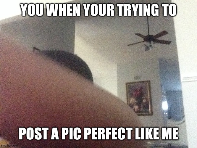 YOU WHEN YOUR TRYING TO; POST A PIC PERFECT LIKE ME | made w/ Imgflip meme maker